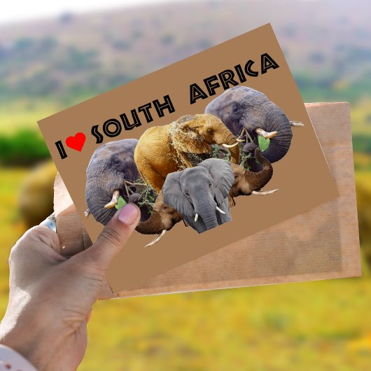 Ik hoor Zuid-Afrika Elephant Emblem Briefkaart