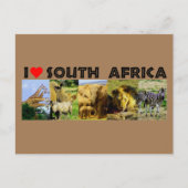 Ik hoor Zuid-Afrika foto's van wilde dieren Briefkaart (Voorkant)