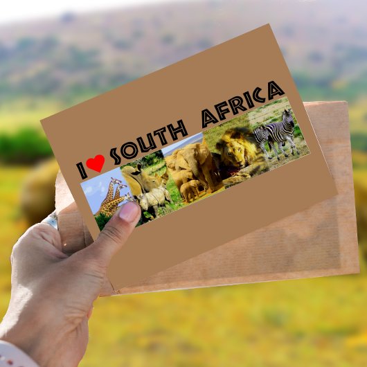 Ik hoor Zuid-Afrika foto's van wilde dieren Briefkaart