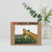Ik hoor Zuid-Afrika Giraffe Thorn boom Briefkaart (Staand voorkant)