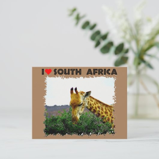 Ik hoor Zuid-Afrika Giraffe Thorn boom Briefkaart (Staand voorkant)