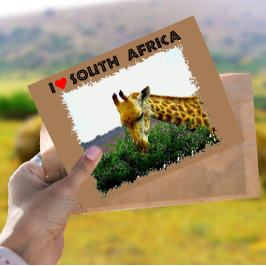 Ik hoor Zuid-Afrika Giraffe Thorn boom Briefkaart
