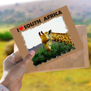 Ik hoor Zuid-Afrika Giraffe Thorn boom Briefkaart
