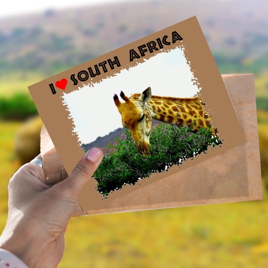 Ik hoor Zuid-Afrika Giraffe Thorn boom Briefkaart