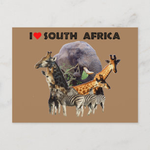 Ik hoor Zuid-Afrika Wildlife Collage Briefkaart