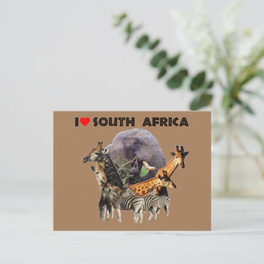 Ik hoor Zuid-Afrika Wildlife Collage Briefkaart (Staand voorkant)