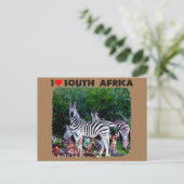 Ik hoor Zuid-Afrika Zebra Aloe Briefkaart (Staand voorkant)