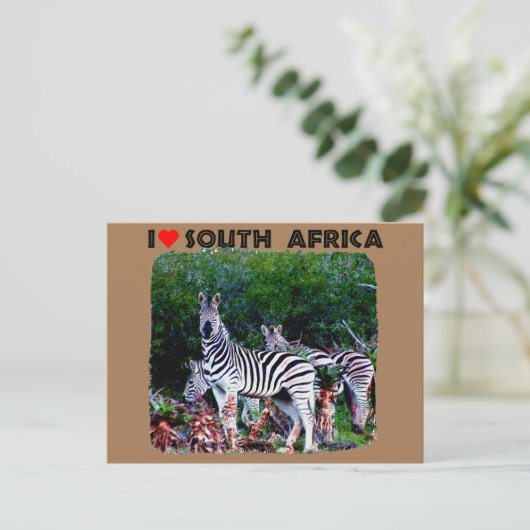 Ik hoor Zuid-Afrika Zebra Aloe Briefkaart (Staand voorkant)