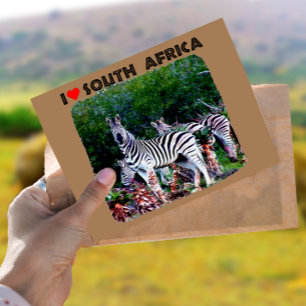 Ik hoor Zuid-Afrika Zebra Aloe Briefkaart