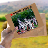 Ik hoor Zuid-Afrika Zebra Aloe Briefkaart
