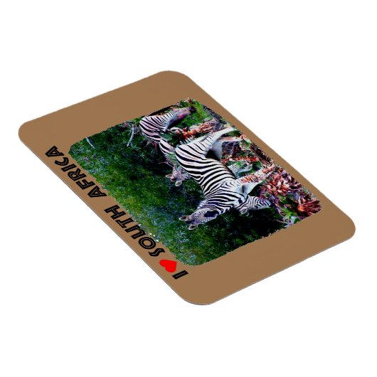 Ik hoor Zuid-Afrika Zebra Aloe Magneet (Rechterzijde)