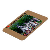 Ik hoor Zuid-Afrika Zebra Aloe Magneet (Linkerzijde)