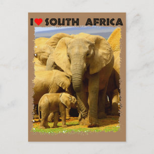 Ik hoor Zuid-Afrikaanse olifantenmoeder en kalf Briefkaart