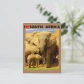 Ik hoor Zuid-Afrikaanse olifantenmoeder en kalf Briefkaart (Staand voorkant)