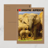 Ik hoor Zuid-Afrikaanse olifantenmoeder en kalf Briefkaart (Voorkant / Achterkant)