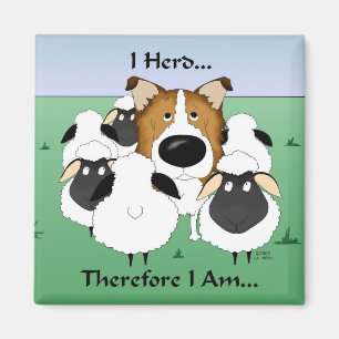 Ik hoorde... daarom ben ik magneet