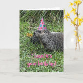 Ik hoorde dat het je verjaardag is, groundhog-kaar kaart (Gele Bloem)