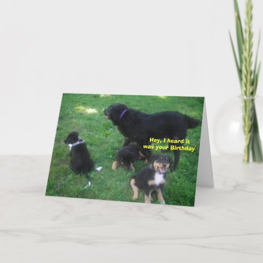 Ik hoorde dat het je verjaardag was kaart (Voorkant)