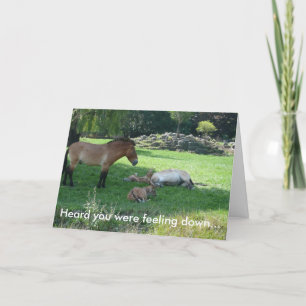Ik hoorde dat je je down voelde... kaart
