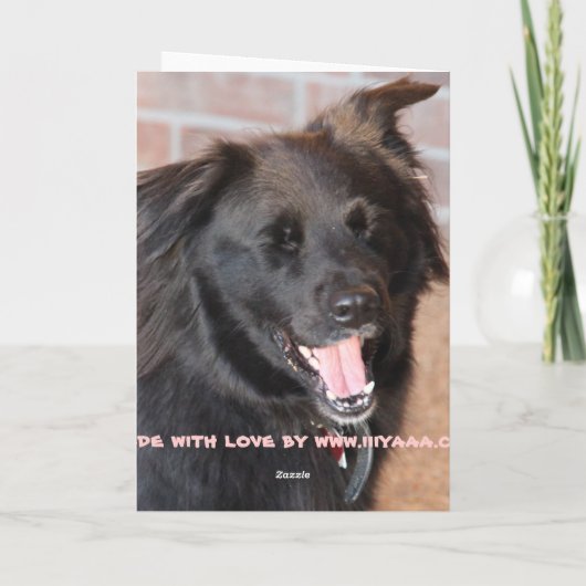 Ik hoorde net iets grappigs kaart (Achterkant)