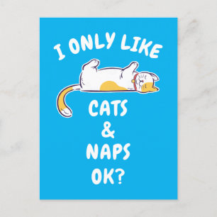IK HOU ALLEEN VAN KATTEN & DUTJES OKÉ? BRIEFKAART