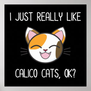 Ik hou echt van Calico Cats. Cute Calico Cat Poster