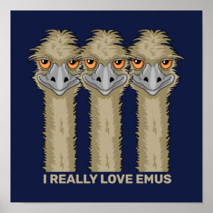 Ik hou echt van emoes poster