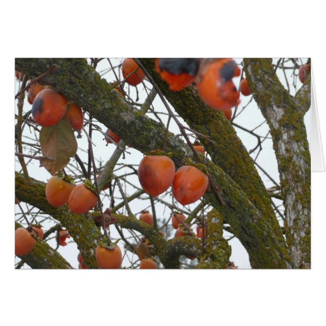 "Ik hou er zeker van om met je uit te hangen." (Voorkant Horizontaal)