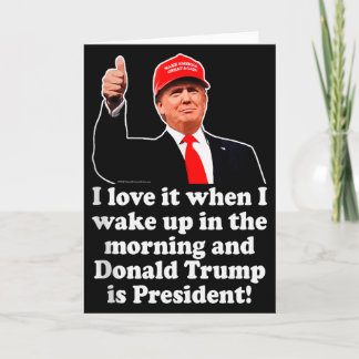 Ik hou ervan als Donald Trump president is 2024 47 Kaart
