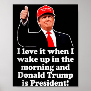 Ik hou ervan als Donald Trump president is 2024 47 Poster