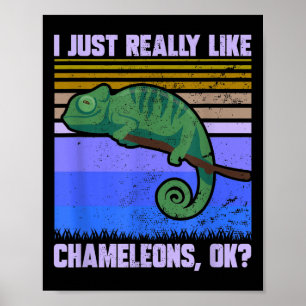 Ik hou gewoon echt van kameleons ok grappig citaat poster