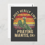 Ik hou gewoon van bidden Mantis OK Insect Retro Briefkaart (Voorkant / Achterkant)