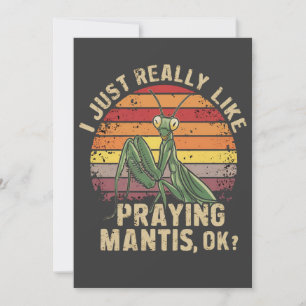 Ik hou gewoon van bidden Mantis OK Insect Retro Kaart