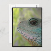 Ik hou je in de gaten - Briefkaart (Voorkant / Achterkant)