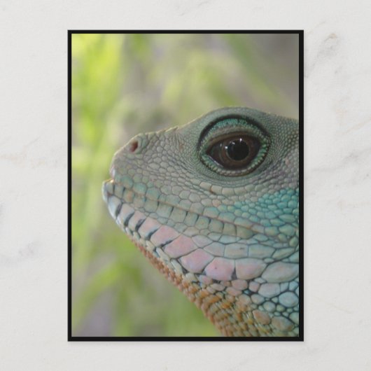 Ik hou je in de gaten - Briefkaart (Voorkant)