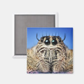 Ik hou je in de gaten! magneet (Voorkant / Achterkant)