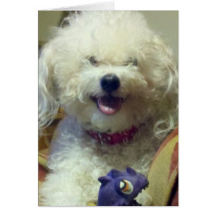 IK HOU MEER DAN MIJN FAV-SPEELGOED