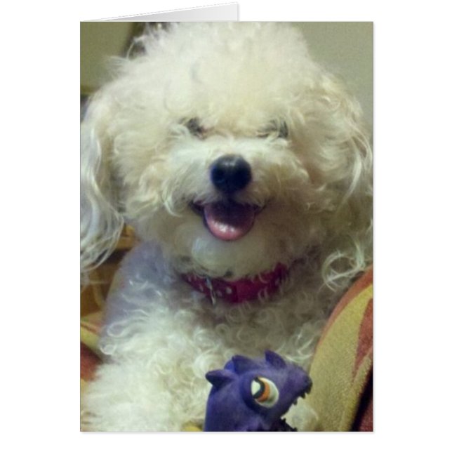 IK HOU MEER DAN MIJN FAV-SPEELGOED (Voorkant)