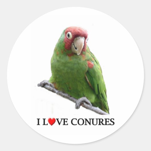 Ik hou ook van conures ronde sticker (Voorkant)