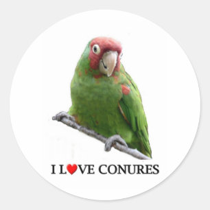 Ik hou ook van conures ronde sticker