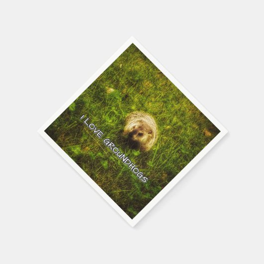 Ik hou van aardhogs servetten (Hoek)