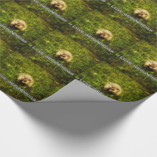 Ik hou van aardschotels die papier verpakken (Hoek)