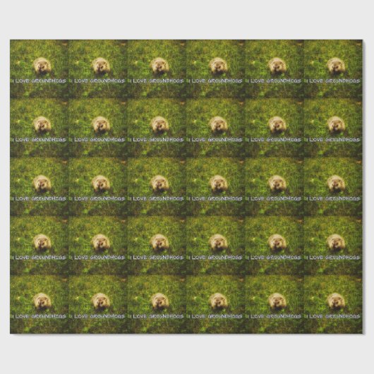 Ik hou van aardschotels die papier verpakken (Vlak)