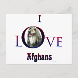 Ik hou van Afghaanse honden. Afghaanse liefde. Ik Briefkaart