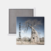 Ik hou van Afrikaanse Baobab Tree foto Magneet (Voorkant / Achterkant)