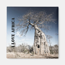 Ik hou van Afrikaanse Baobab Tree foto