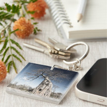 Ik hou van Afrikaanse Baobab Tree foto