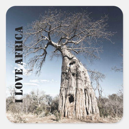 Ik hou van Afrikaanse Baobab Tree foto Vierkante Sticker (Voorkant)