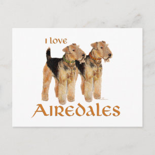 Ik hou van Airedales Briefkaart