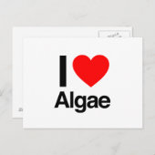 Ik hou van algen briefkaart (Voorkant / Achterkant)